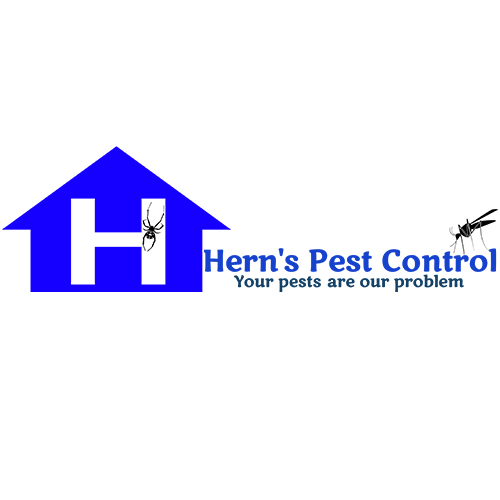 937258 Logo500x500 010721 white and square