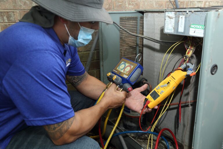 IMG 5872 Aug 2020 768x512