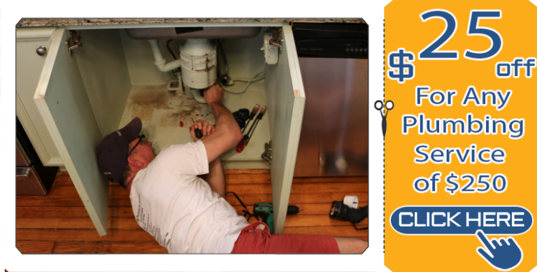 Reliable GarbageDisposal Repair Service 1 768x389