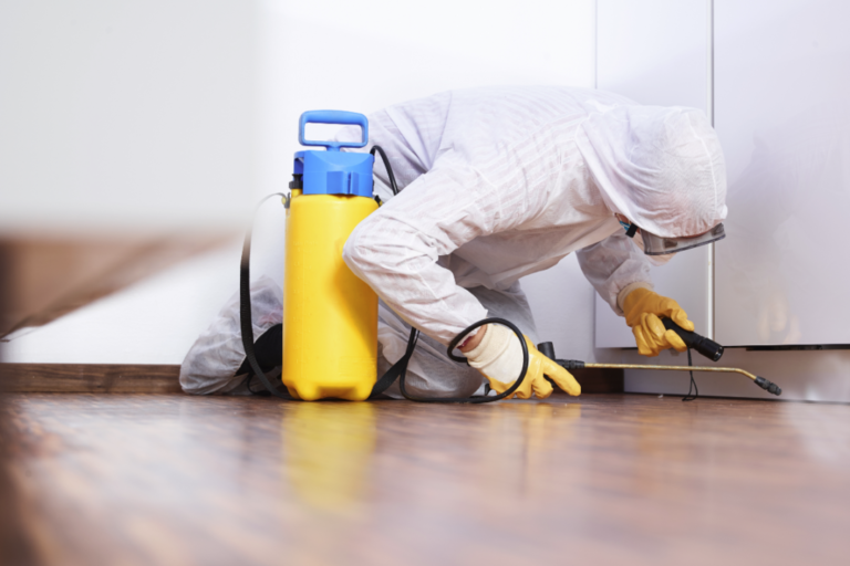 Post pandemic pest management pest control Feb E 768x512