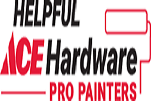 AceServicesLogo ProPainters 251x75 1