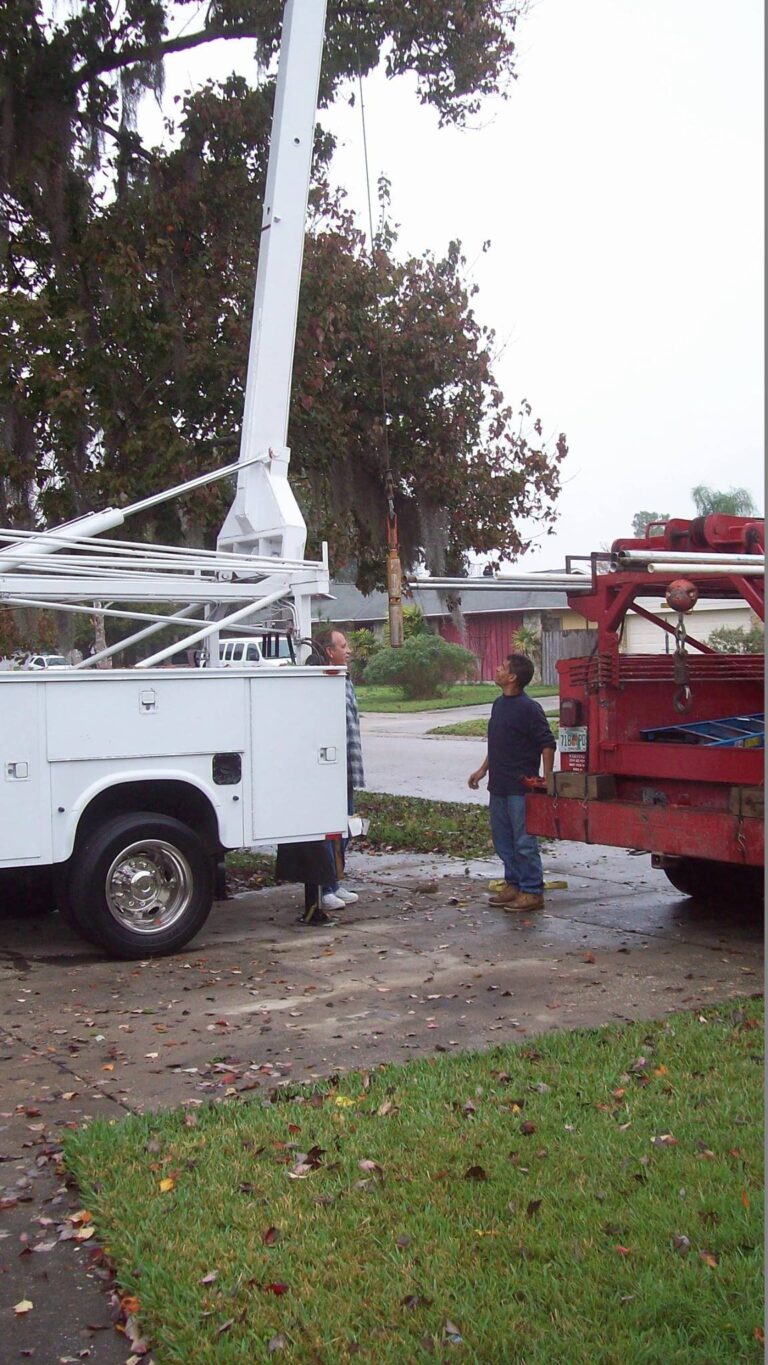 11242998 730347467074159 7313944 768x1365