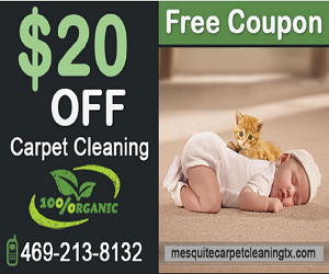 Carpet Cleaning Mesquite TX pon 4
