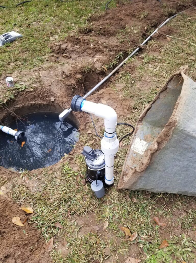 121121436 1071856256564782 16918 768x1029