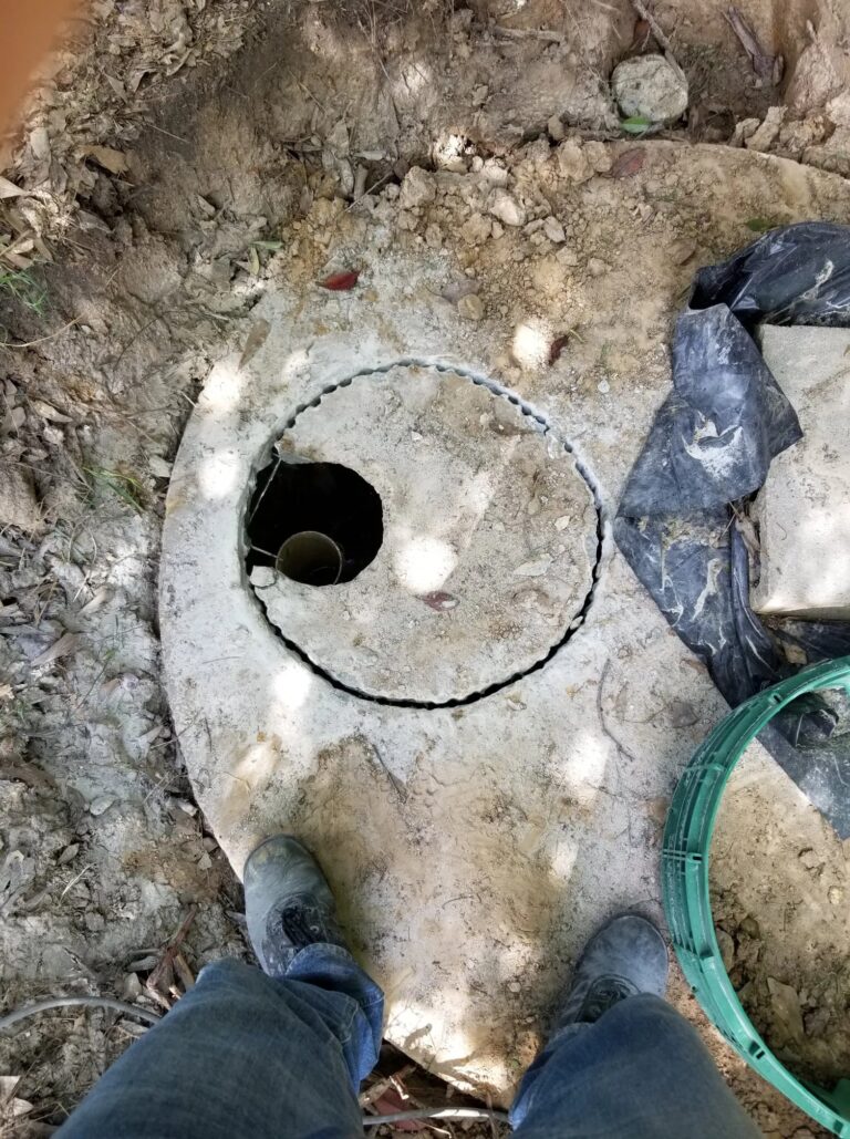 121241861 1071853896565018 36584 768x1029