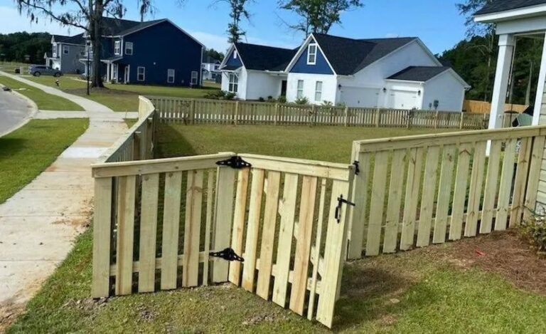 242832441 130283262670078 582373 768x469