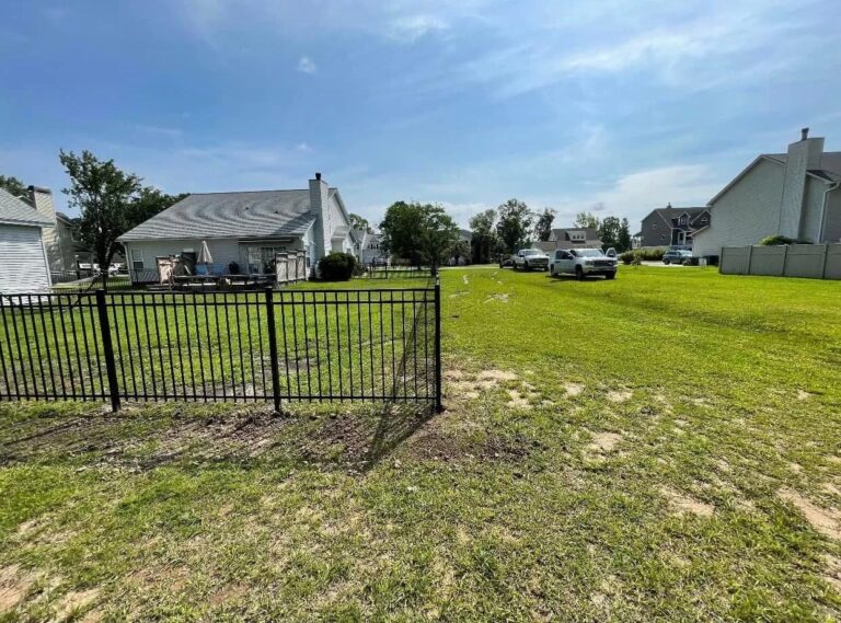 286094235 186550203710050 213281 768x569