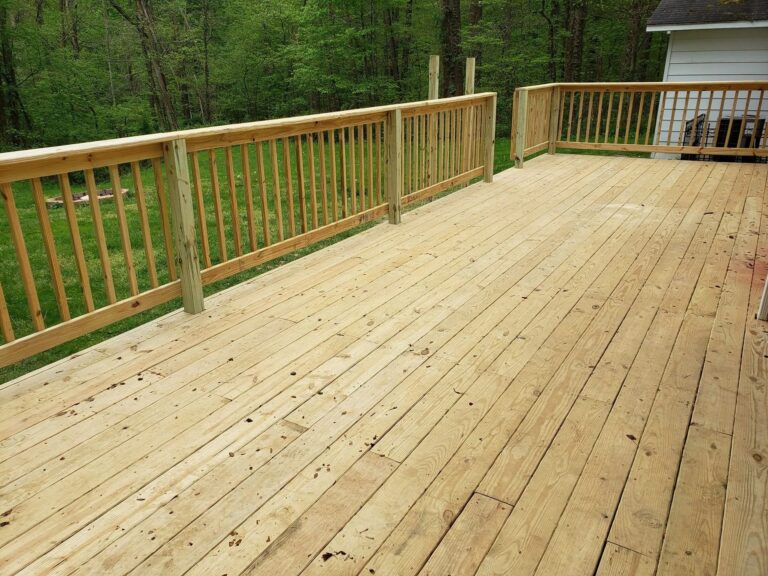 295558569 997802684238270 207837 768x576