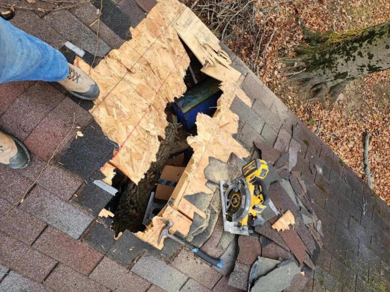 319893533 672744114594883 788021 768x576