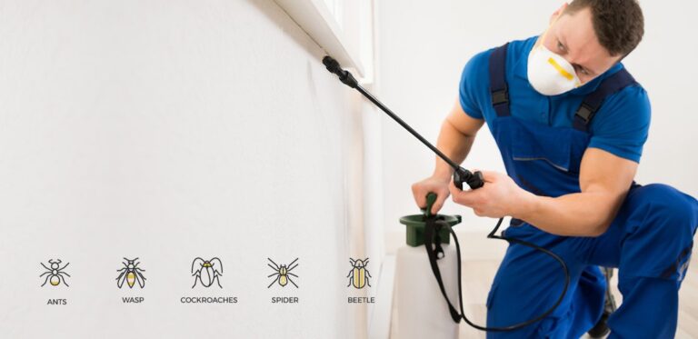 Melbourne Pest Control Ecosafe 768x373