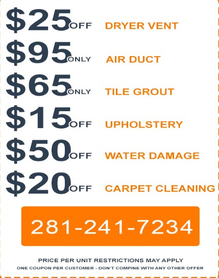 TF Duct Clean Professional Tech TX disc