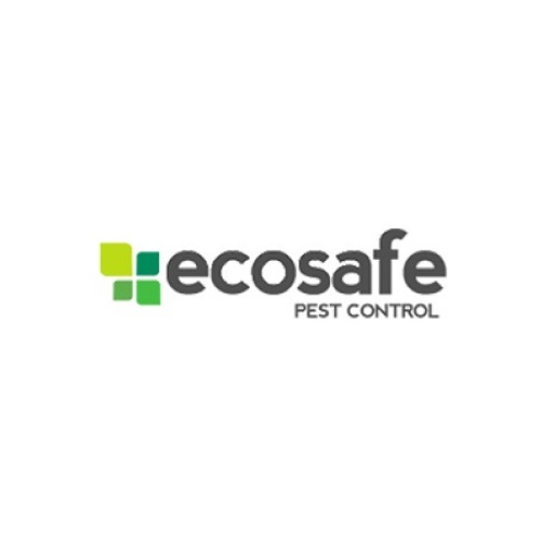 ecosafe logo