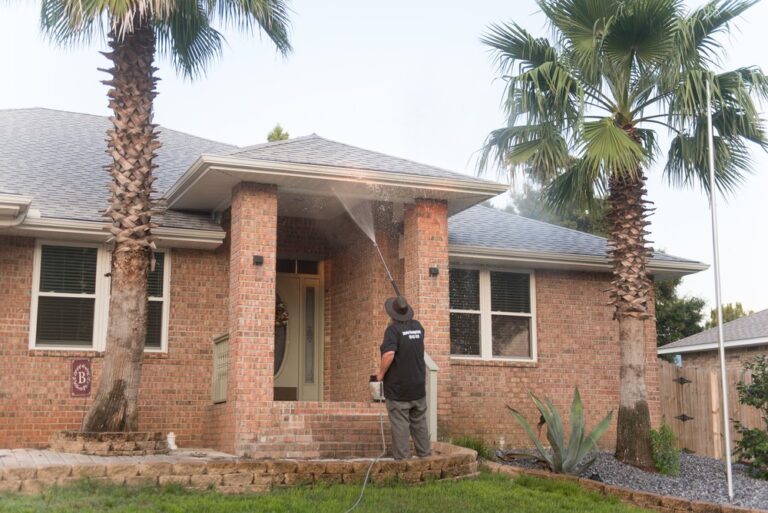 saraprowash12 768x513