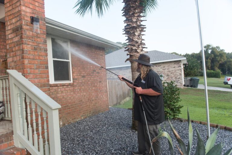 saraprowash16 768x513