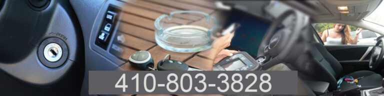 banner large 768x192