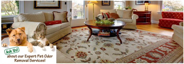 Screenshot 2024 04 17 110608 768x269