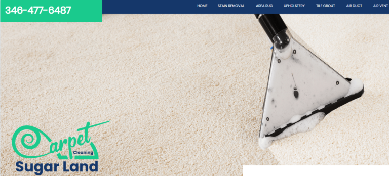 carpet cleaning 1 768x348