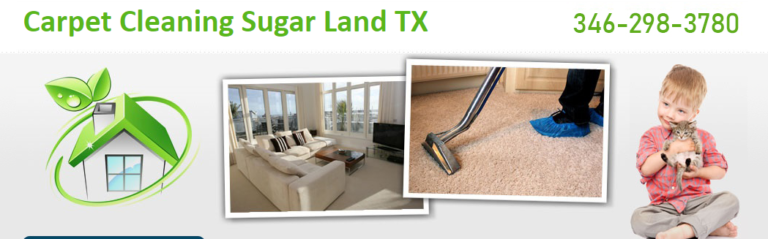 carpet cleaning 2 768x239