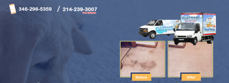 carpet cleaning 4 768x280