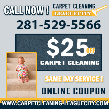carpet cleaning inner