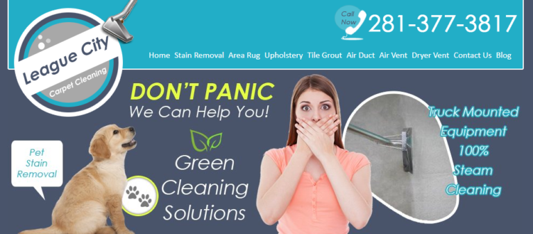 carpet cleaning 3 768x338