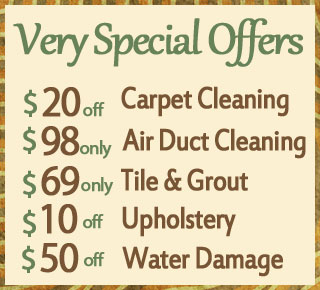 Rug Cleaning Service Dallas TX