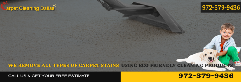 Screenshot 2024 06 25 002125 768x264