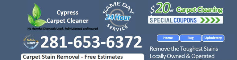 carpet cleaning 2 768x196