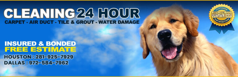 cleaning 24hour 768x251