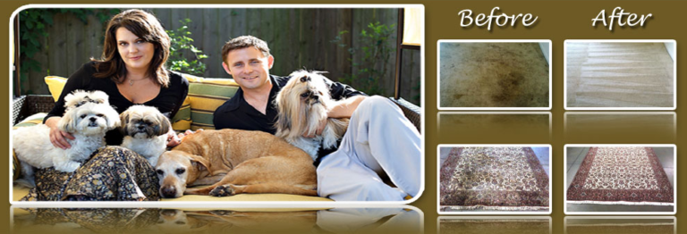 Screenshot 2024 06 29 043309 768x262