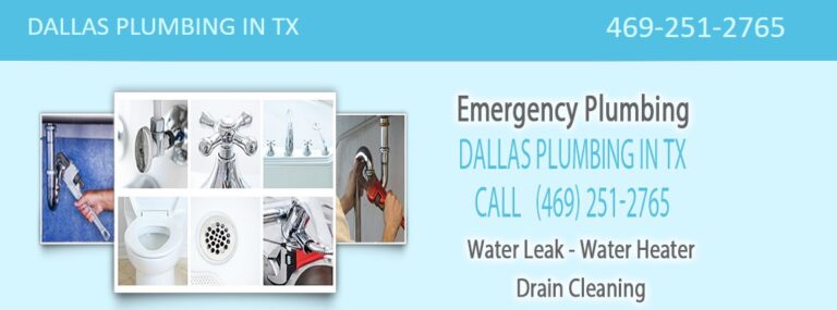 Screenshot 2024 07 29 022430 768x285