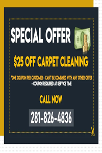 carpet cleaning offer