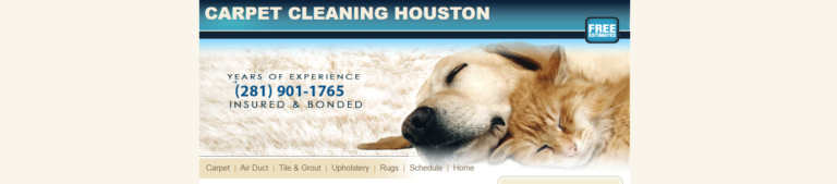 Cleaning Carpet Houston TX Coupon 768x169