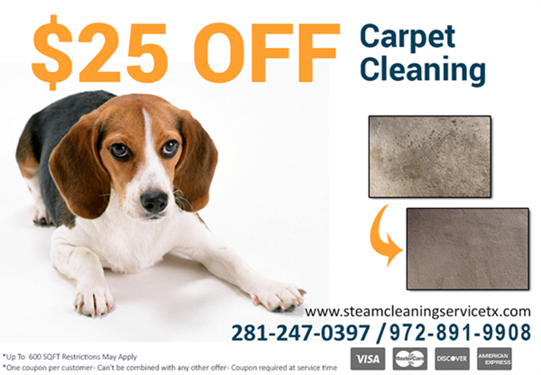 coupon carpet cleaning 2