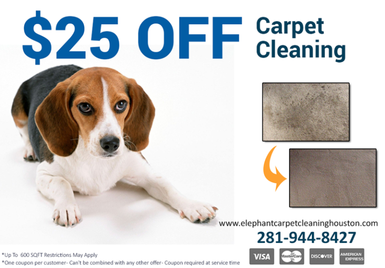 coupon carpet cleaning 768x534