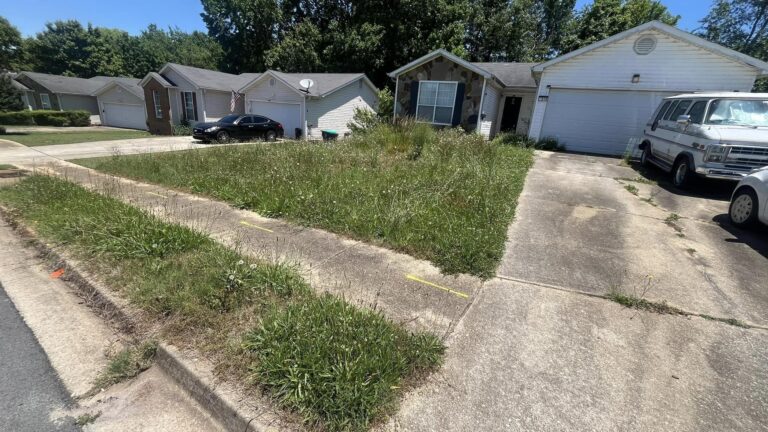 448097117 431079366487635 7691484408675011148 n 768x432