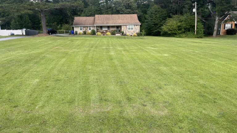 448711813 434030629525842 6163359014839001651 n 768x432