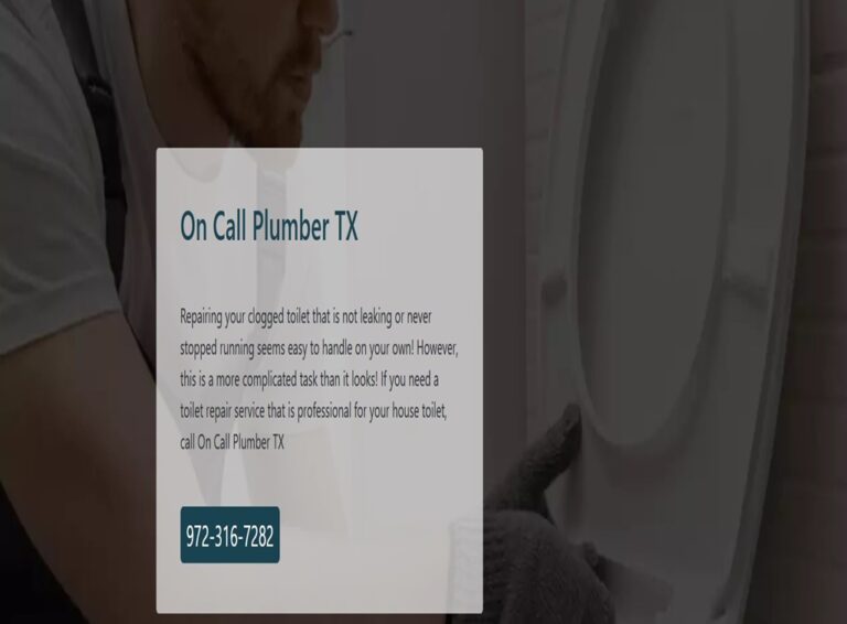 Screenshot 2024 11 28 015257 768x566