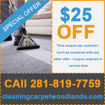 carpet cleaning the woodlands offer1