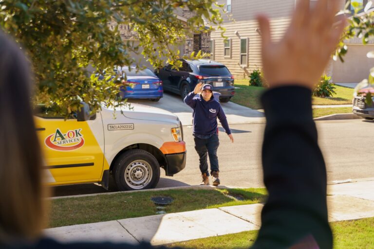 IMG 20250209 173551030 HDR AE 768x512