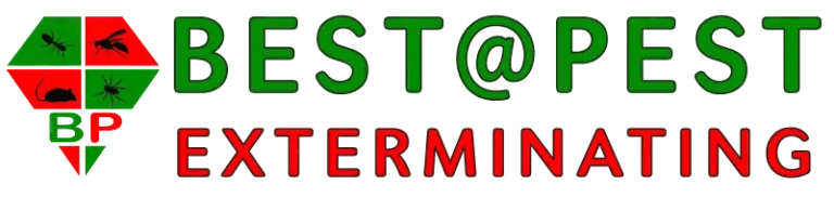 best@pest logo 768x182