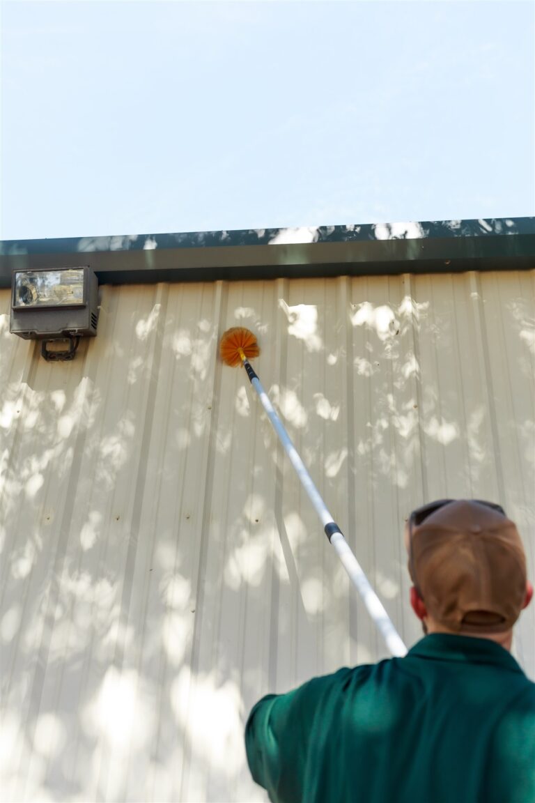 spider webs with a brush 1 768x1152