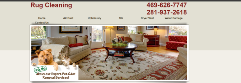 Rug Cleaner In Atascocita header 768x265