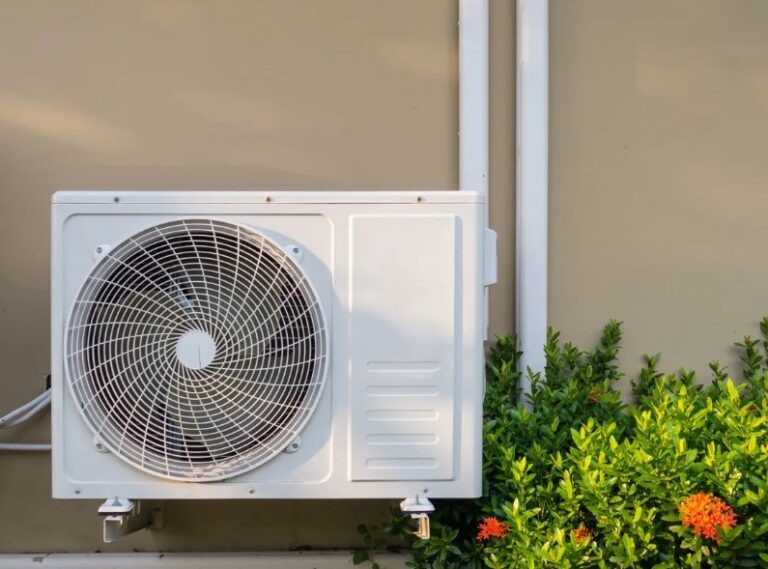 Screenshot 905 768x569