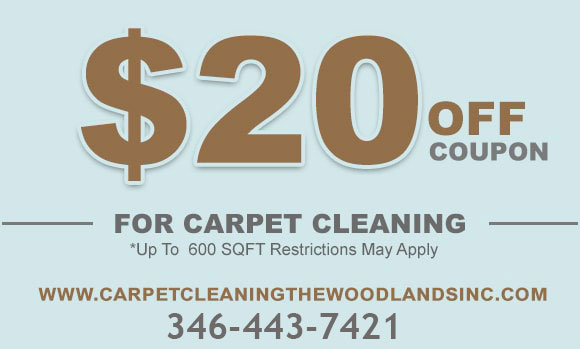 carpet cleaning offer