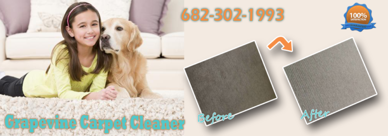 Screenshot 2025 02 10 002630 768x269