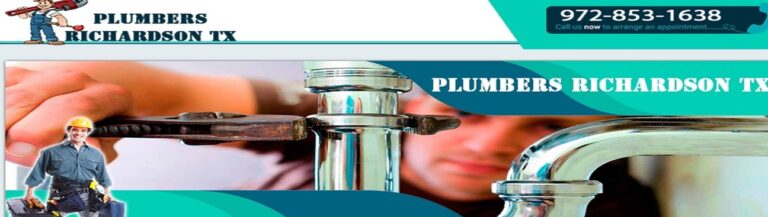 Screenshot 2025 09 01 042648 768x217