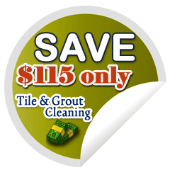 coupon tile cleaning