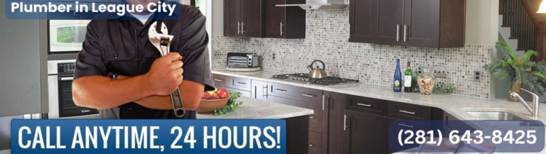 Plumber in League City cover birdeye 768x217