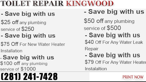 Toilet Repair kingwood TX offers